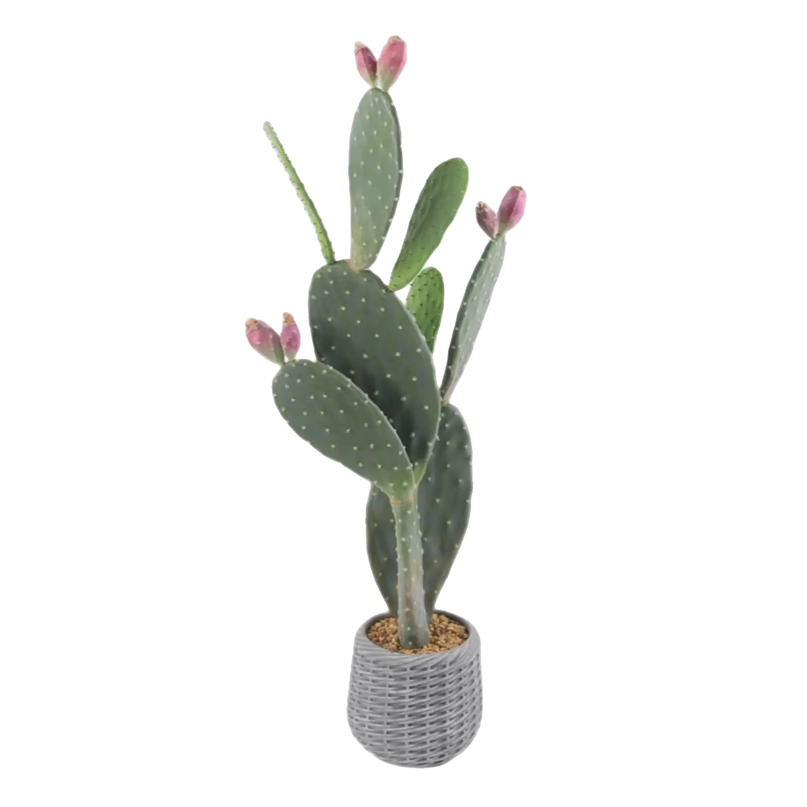 Faux-kaktus, Realistisches Design, Einfache Pflege, Rosa