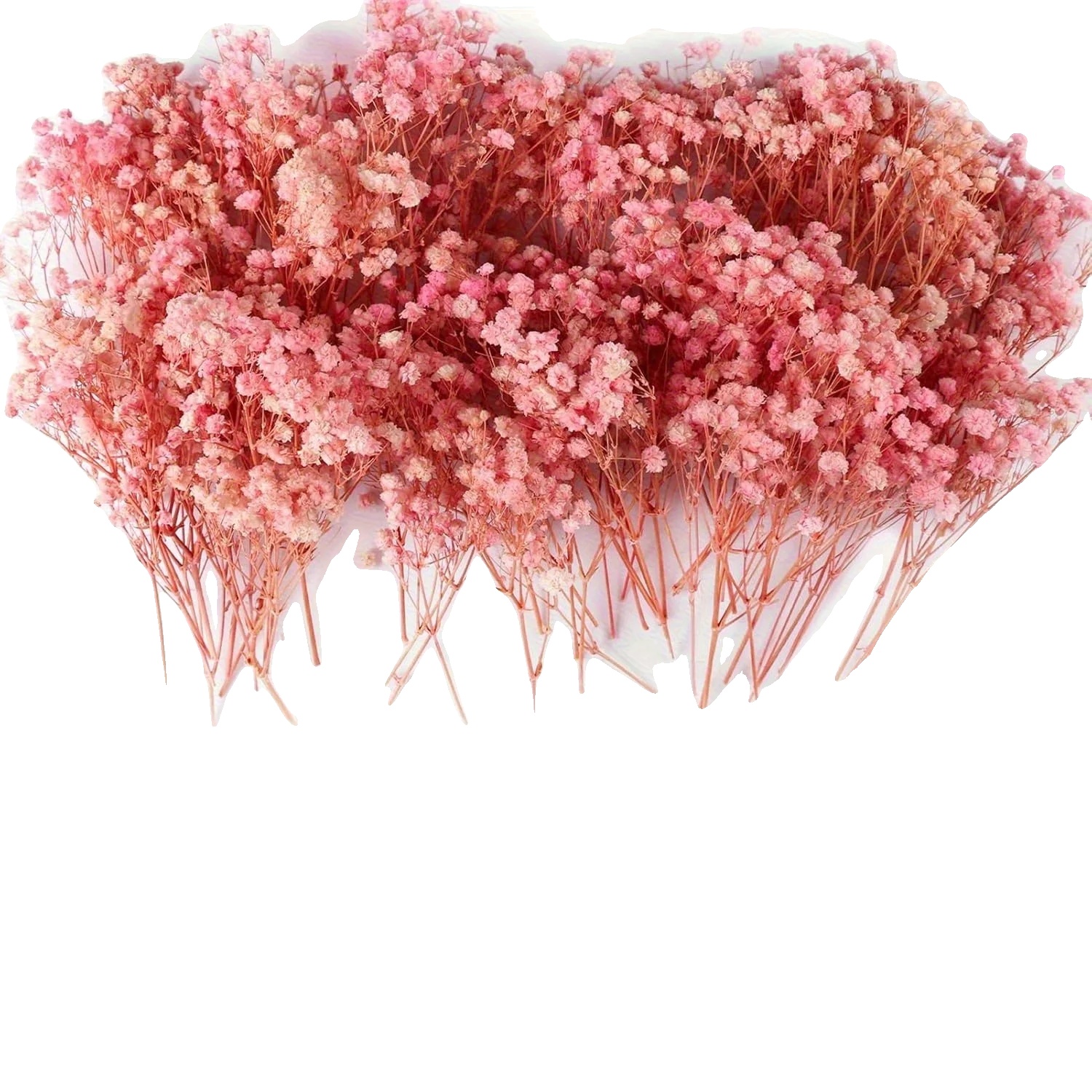 Getrocknete Blumen, Perfekt Für Hochzeiten, Wohnkultur, Rosa Baby Atem
