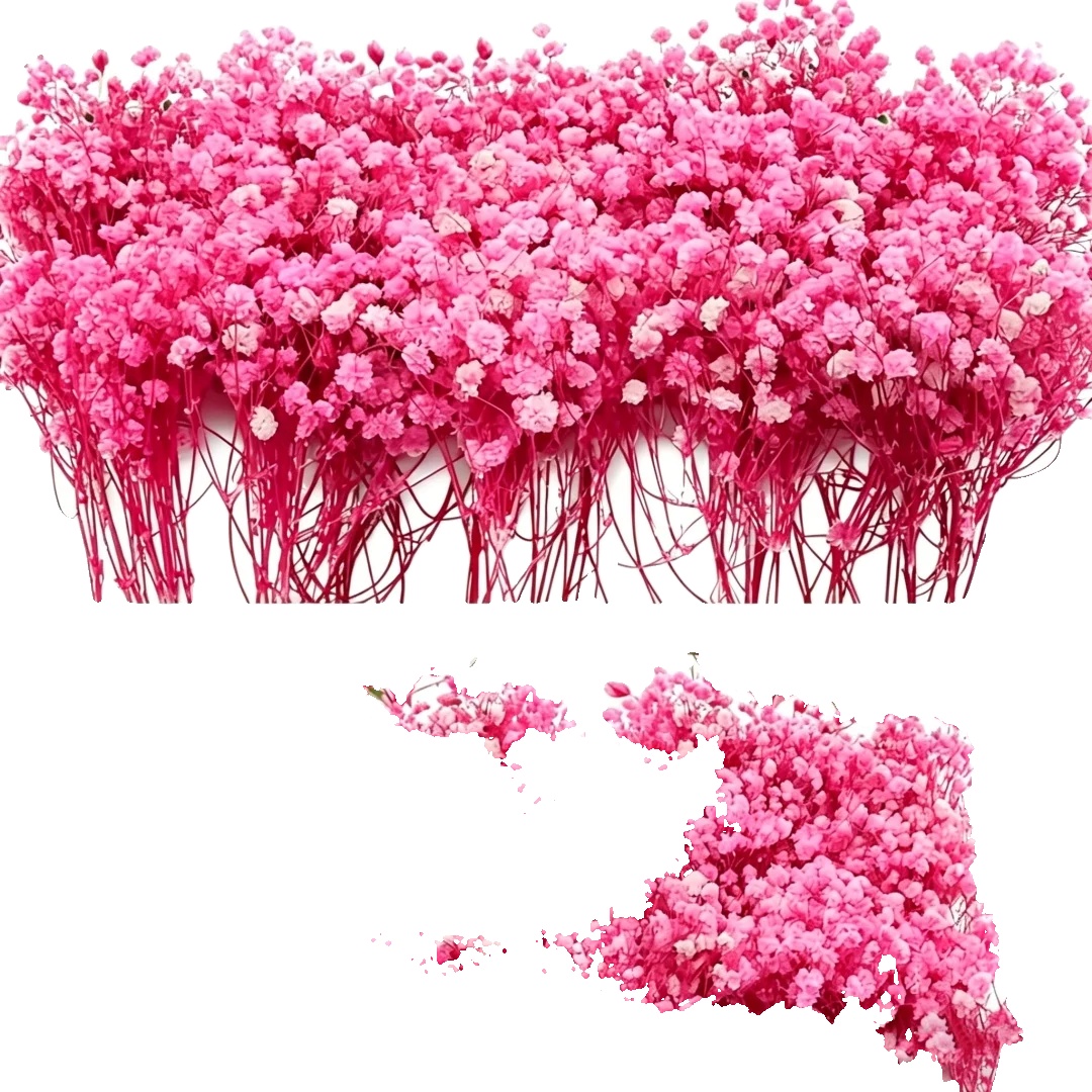 Getrocknete Blumen, Natürliche Ästhetik, Vielseitige Wohnkultur, B