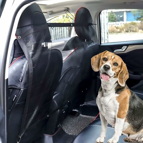 Auto-schutzgitter Für Haustiere, Sicherheitsnetz Für Hunde, Netzgewebe Zum Schutz Von Hunden Und Katzen, 115 X 62 Cm, Schwarz, Von Debuns