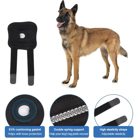 Hunde-ellbogen- Und Knieschoner, Ideal Zur Regeneration Und Vorbeugung Von Verstauchungen Und Verletzungen. Diese Knieschoner Bieten Optimale Unterstützung Für Die Ellbogen. 2er-pack, Größe M.