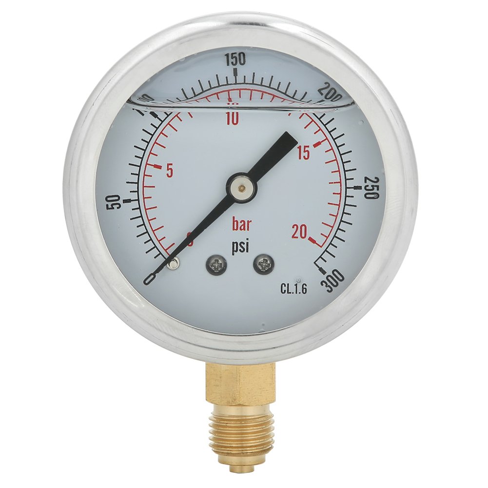 Ts Pgg604-20bar 1/4bsp Y60 Ölgefülltes Radialmanometer Aus Edelstahl Und Messing Für Maschinen