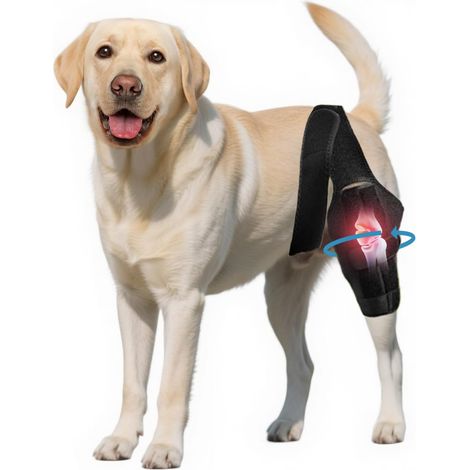 Knieorthesen Für Die Hinterbeine Von Hunden, Verstellbare Knieorthesen Für Hunde Zur Vorbeugung Von Kreuzbandrissen – Beinschutz Für Hunde – Beinstütze