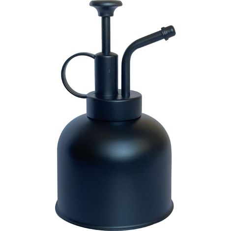 Kompakte Und Moderne Gießkanne Aus Edelstahl, Ideal Für Zimmerpflanzen – 250 Ml