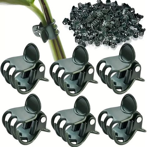 Packung Mit 100 Pflanzenclips / Orchideenclips – Ideal Zur Unterstützung Von Stängeln, Ranken Und Blühenden Zweigen, Damit Kletterpflanzen Gerade Wachsen Können.