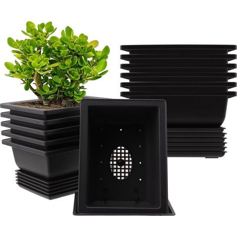 Set Aus 12 Bonsai-anzuchttöpfen (16,5 X 12,3 Cm) Mit Untersetzer, Aus Kunststoff, Für Wohnzimmer, Büro Und Garten.