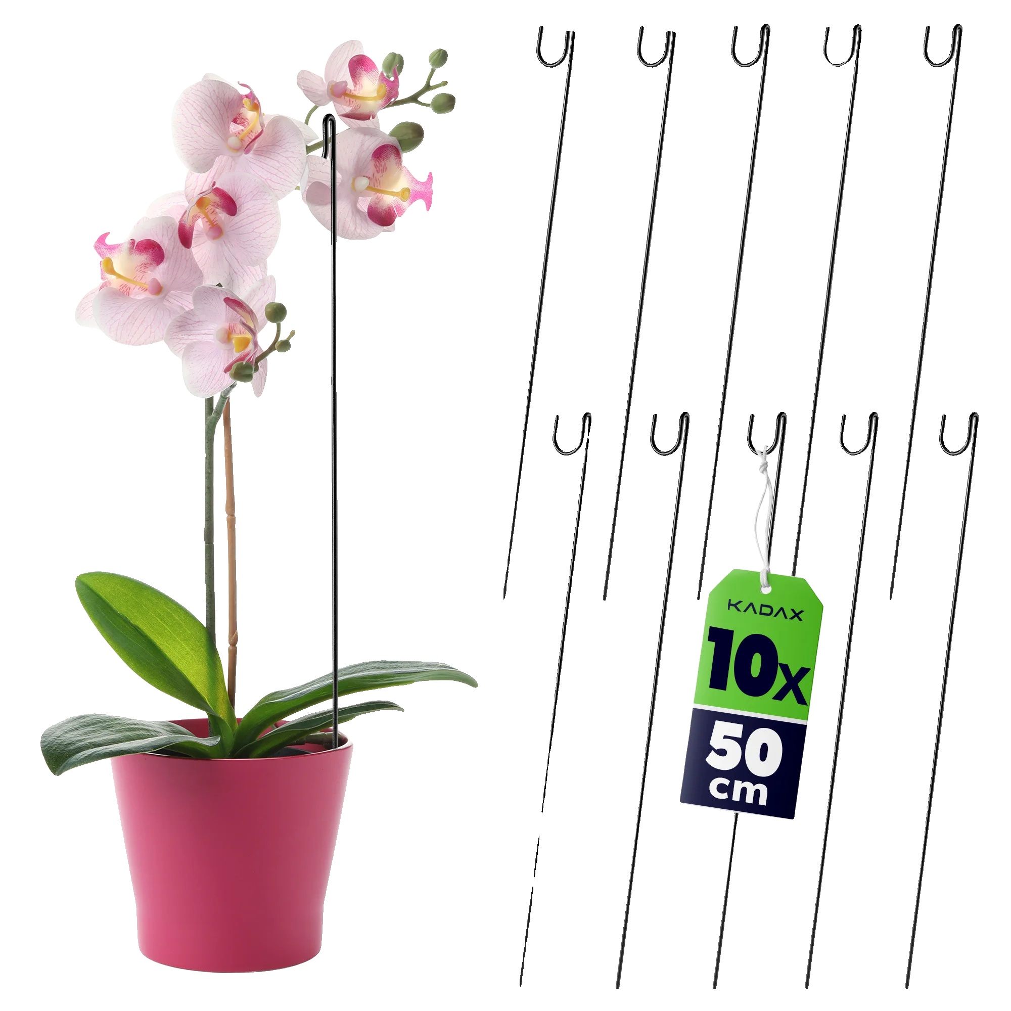 Pflanzenstütze, 50 Cm Höhe, Langlebiger Kunststoff, Minimalistisches Design, Bietet Stabilität, Für Zimmerpflanzen Im Topf