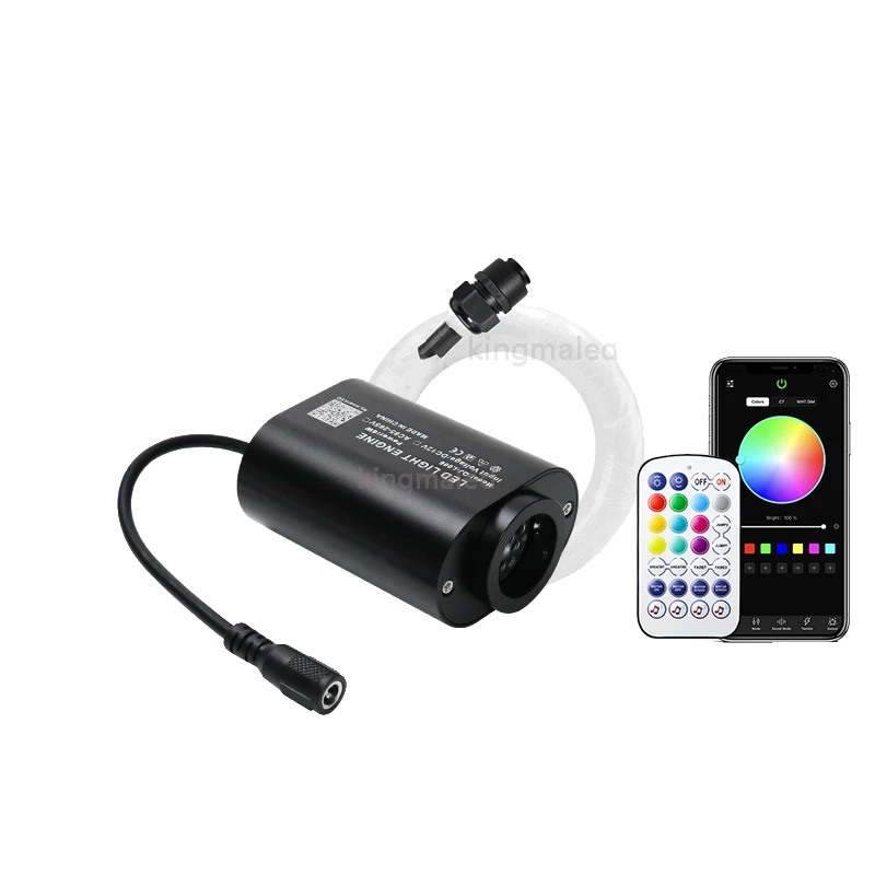 Glasfaserlichter, Funkel-effekt, Fernbedienung Und App-steuerung, Auto N Eu Plug-a, 300stk 0.75mm 3m