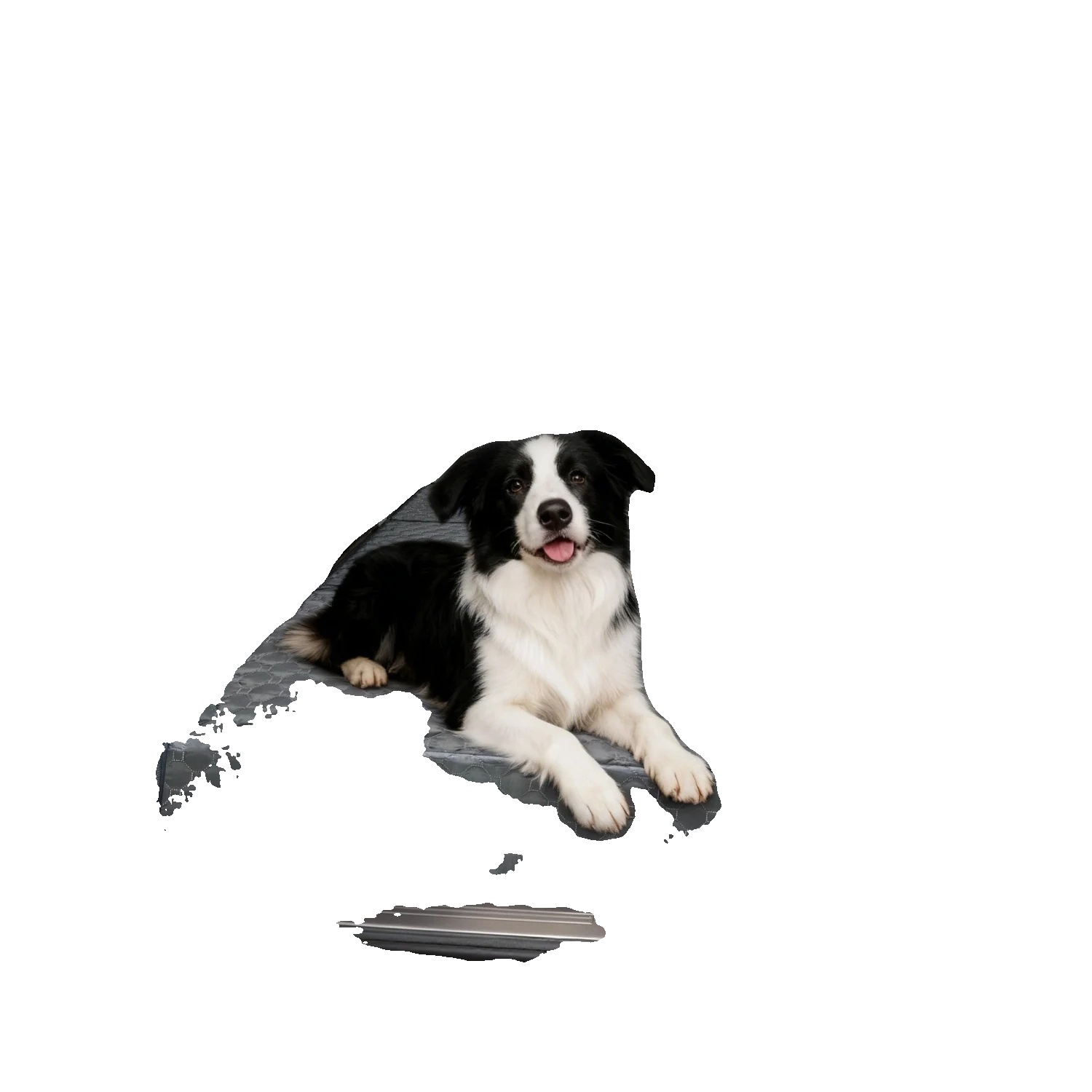 Hund Autositzbezug, Wasserdicht, Universelle Passform, Schwarz