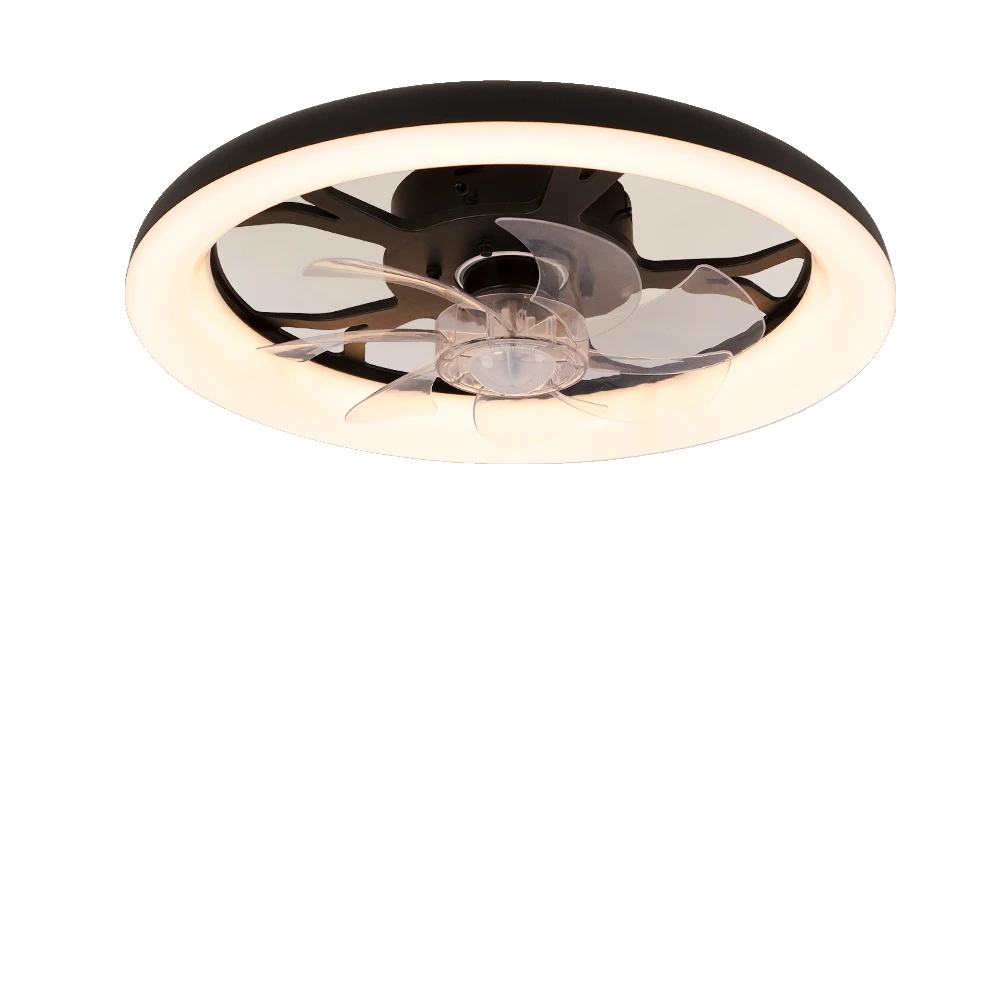 Deckenventilator, Fernbedienungsbetrieb, Energieeffiziente Beleuchtung, Schwarz