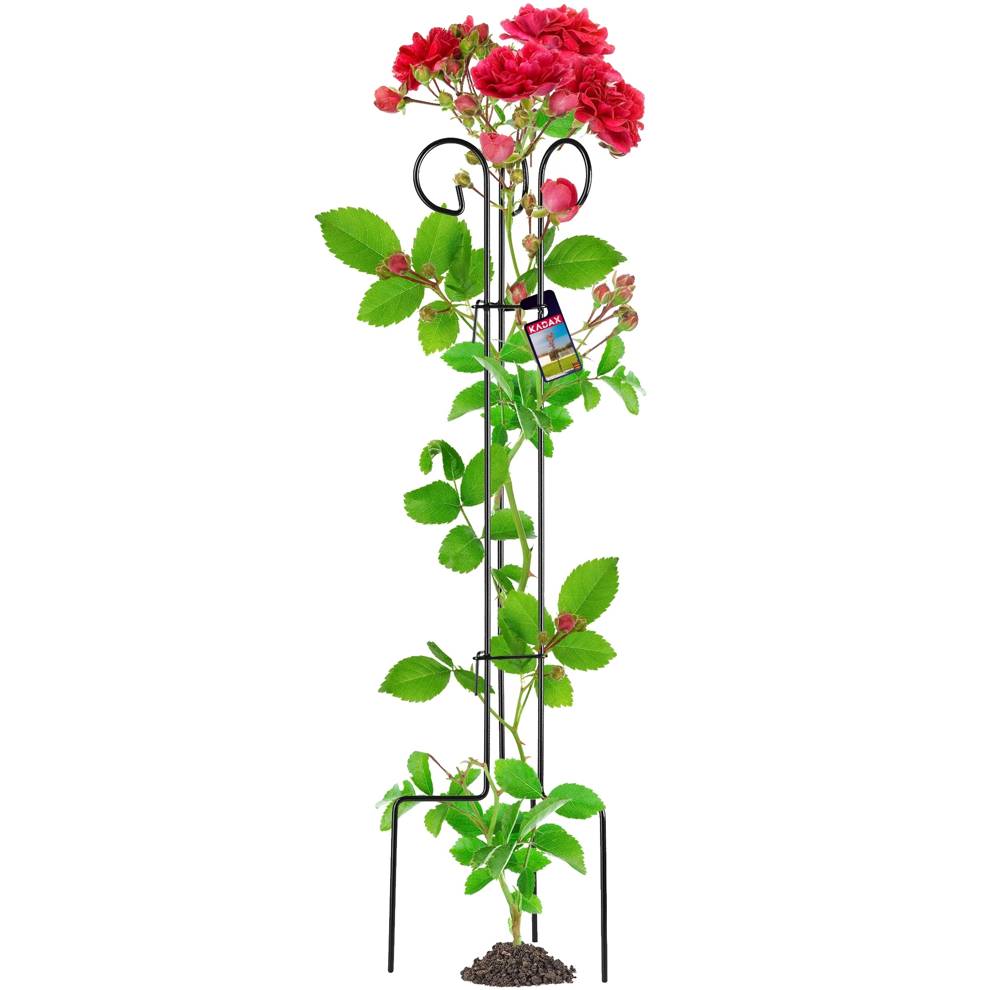 Pflanzenstütze, Metallkonstruktion, 90 Cm Höhe, Kompatibel Mit Kletterpflanzen, Vertikales Design, Schützt Vor Schäden