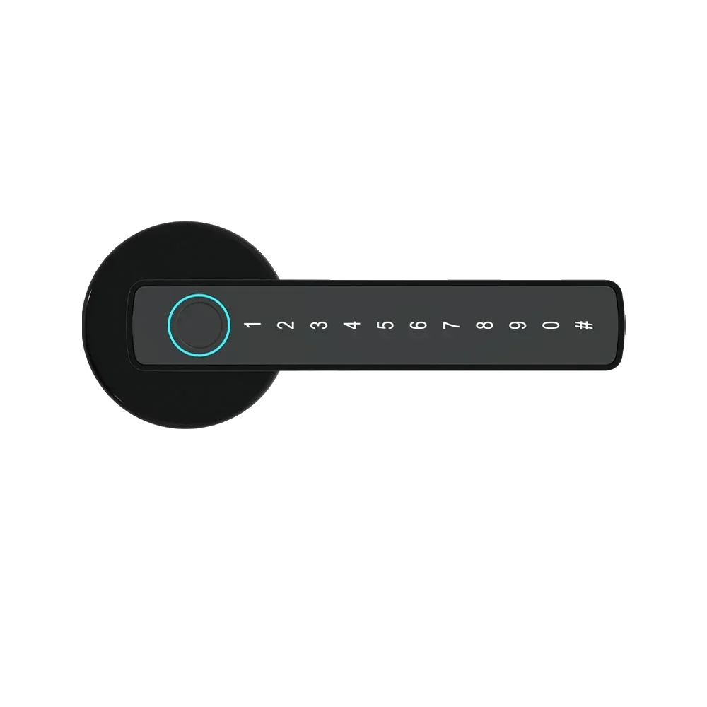 Intelligentes Fingerabdrucktürschloss, Mehrere Entsperrmöglichkeiten, Bluetooth-konnektivität, M5 Schwarz
