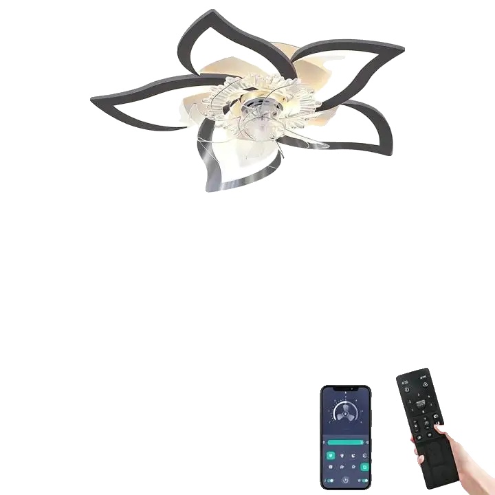 Deckenventilator Licht, App-steuerung, 6 Geschwindigkeitsstufen, Schwarz