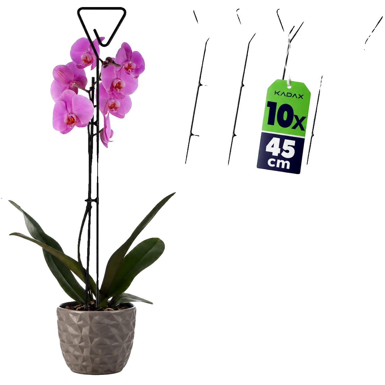 Pflanzenstützstäbe, 50 Cm Länge, Langlebiger Kunststoff, Set Mit 10 Stück, Minimalistisches Design, Geeignet Für Zimmerpflanzen