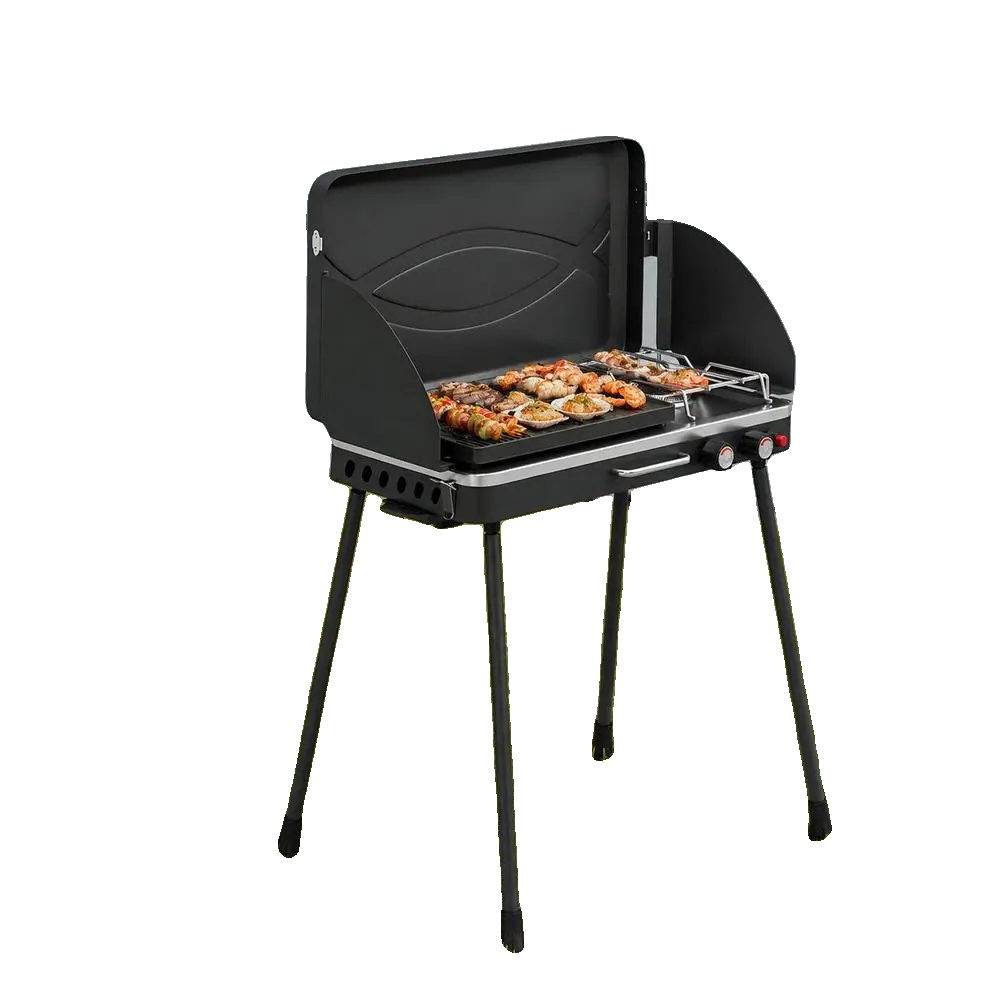 Grill, 2-in-1 Kochsystem, Tragbares Design, T0002 01 19302