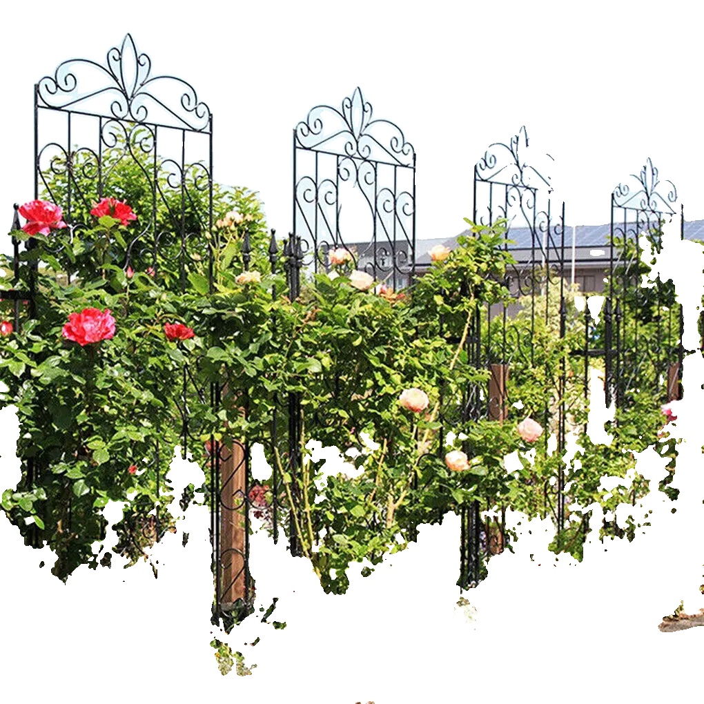 Garten-spalier, Metallkonstruktion, Klassisches Scroll-design, Schwarz