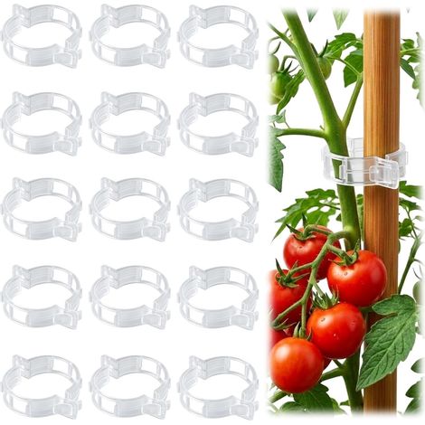 100 Stäbe Für Tomaten Und Kletterpflanzen – Kunststoff-stützclips – Wiederverwendbar Für Tomaten, Ranken Und Anderes Gartengemüse