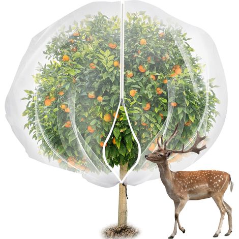2,4 X 2,4 M Obstbaumschutznetz Mit Reißverschluss Und Kordelzug – Transparentes Insektennetz Für Den Garten – Vogelschutz – Obstschutz