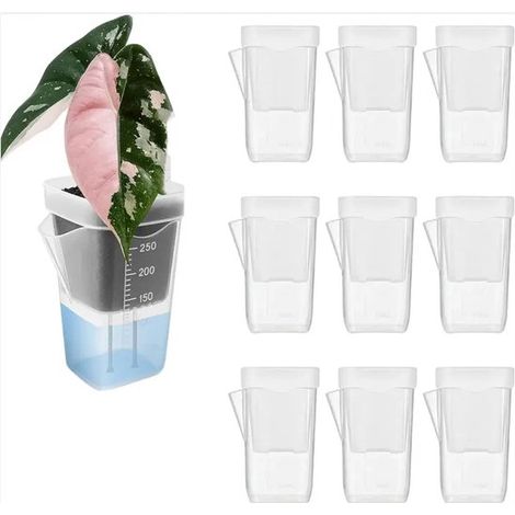 Blumentöpfe – 10er-set Mini-töpfe, Transparent – Recycelter Kunststoff – Selbstbewässernd – Kompakt Und Robust – Ideal Für Balkone, Büros Und Die Anzucht Von Setzlingen – 6 X 4,8 X 9,5 Cm