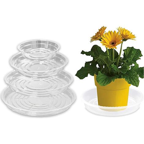 Set Mit 8 Untersetzern (15 Cm / 20 Cm / 25 Cm / 30 Cm) – Transparente Schalen. Geeignet Für Blumentöpfe, Für Zimmer- Und Gartenpflanzen.