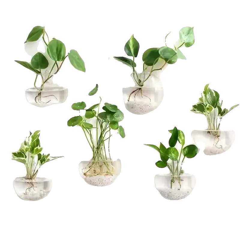 Glas-terrarium, Selbstbewässerungsfunktion, Kreative Wanddekoration, 6stück