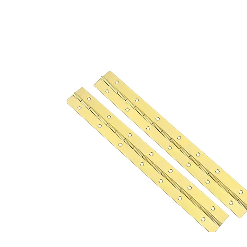 Klavier-schaniere, Langlebiger Edelstahl, Sanfter Betrieb, 2 Stück 20inx30mmx0.7mm