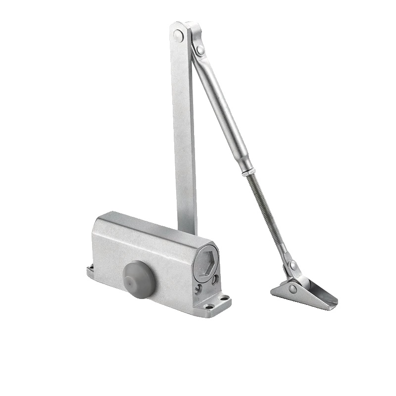 Türschließer, Hydraulisch Verstellbar, 80 Kg Tragfähigkeit, Positionierung Silber M