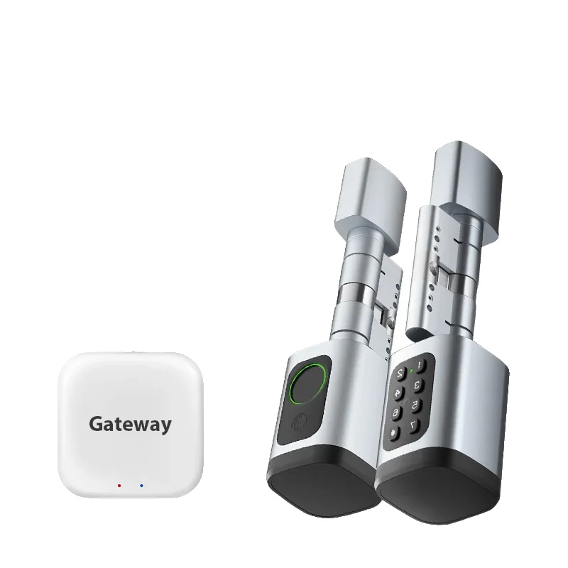 Intelligentes Türschloss, 5 Entsperrmöglichkeiten, Einfache Installation, Silber Und Gateway, Verstellbare Version
