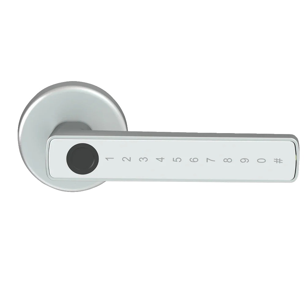 Intelligentes Fingerabdrucktürschloss, Mehrere Entsperrmöglichkeiten, Benutzerfreundliches Design, M5 Silber