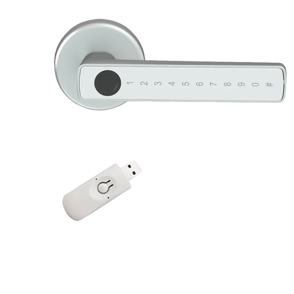 Fingerabdrucktürschloss, Bluetooth-konnektivität, Mehrere Entsperrmöglichkeiten, Silber Und Gateway