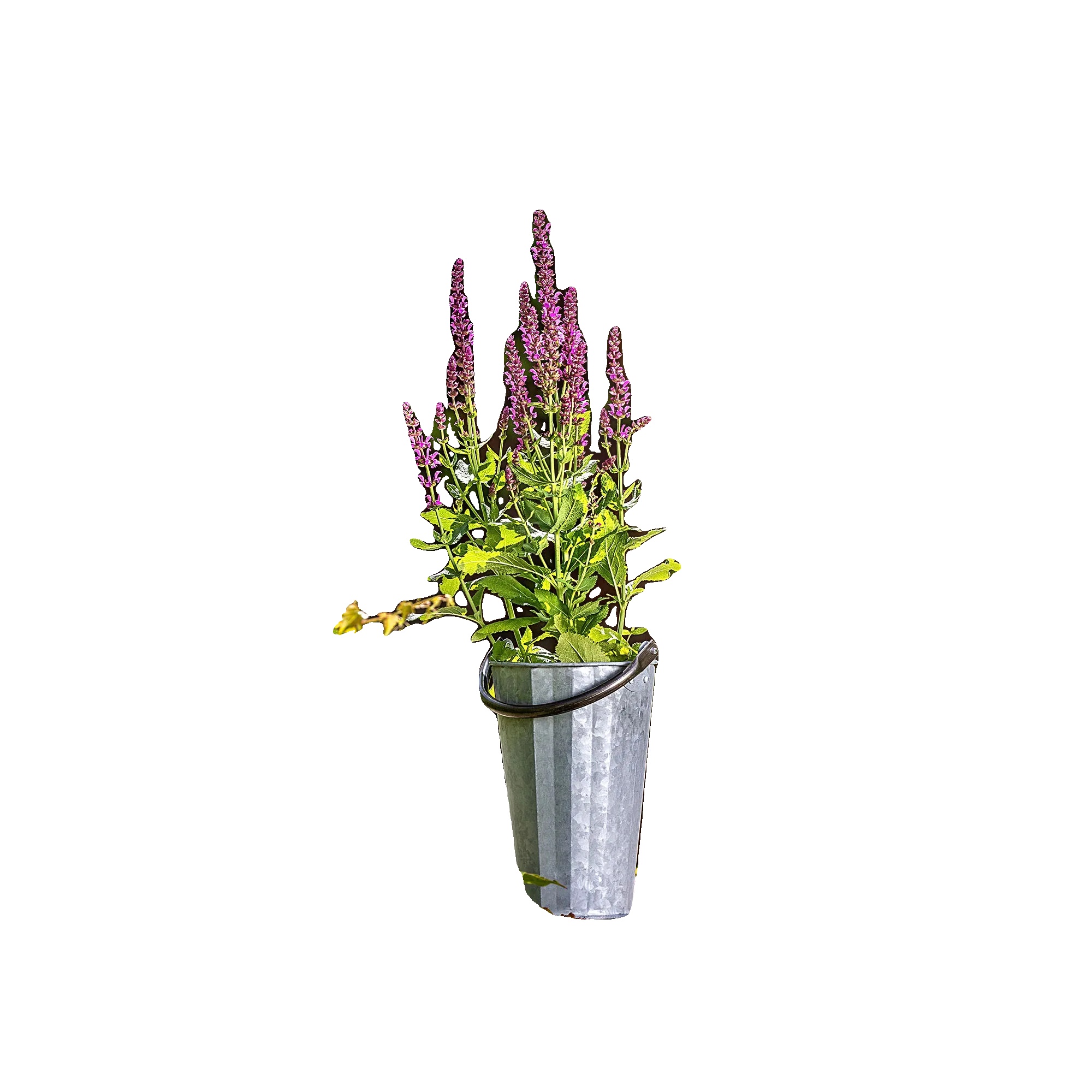 Blumentopf, Verzinkter Stahl, 13 Cm Höhe, Leicht, Wetterbeständig, Vielseitiges Design