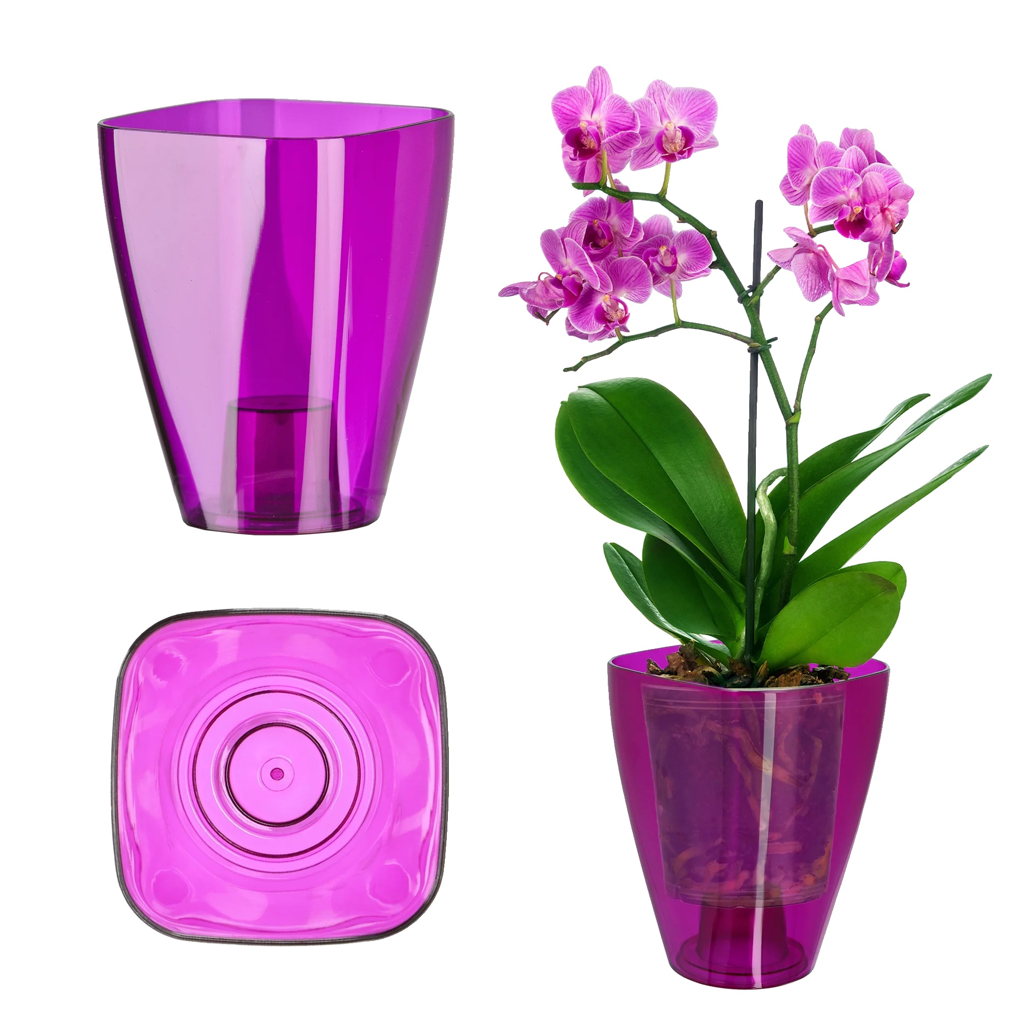 Blumentopfdeckel, Elegantes Design, Universelle Kompatibilität, Lila, Klein-d