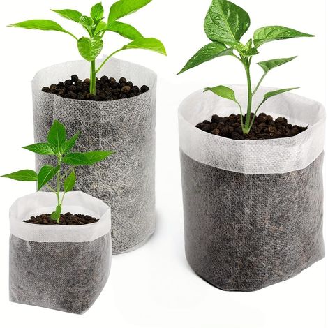 Anzuchtbeutel, Geeignet Für Die Aussaat (10er-packung) — Pflanzbeutel Aus Vliesstoff, Geeignet Für Gemüsegartenbedarf Und Als Umpflanzbeutel (10 X 10 Cm)
