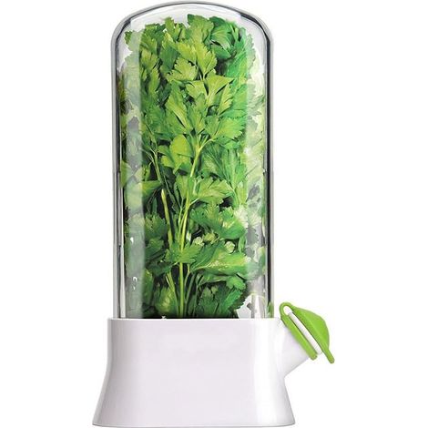 Aufbewahrungsbehälter Für Kräuter Und Gemüse (13 X 27 Cm) – Hält Lebensmittel 2–3 Wochen Frisch, Luftdicht, Ideal Für Kräuter, Salate Und Gemüse. Kühlschrankgeeignet.
