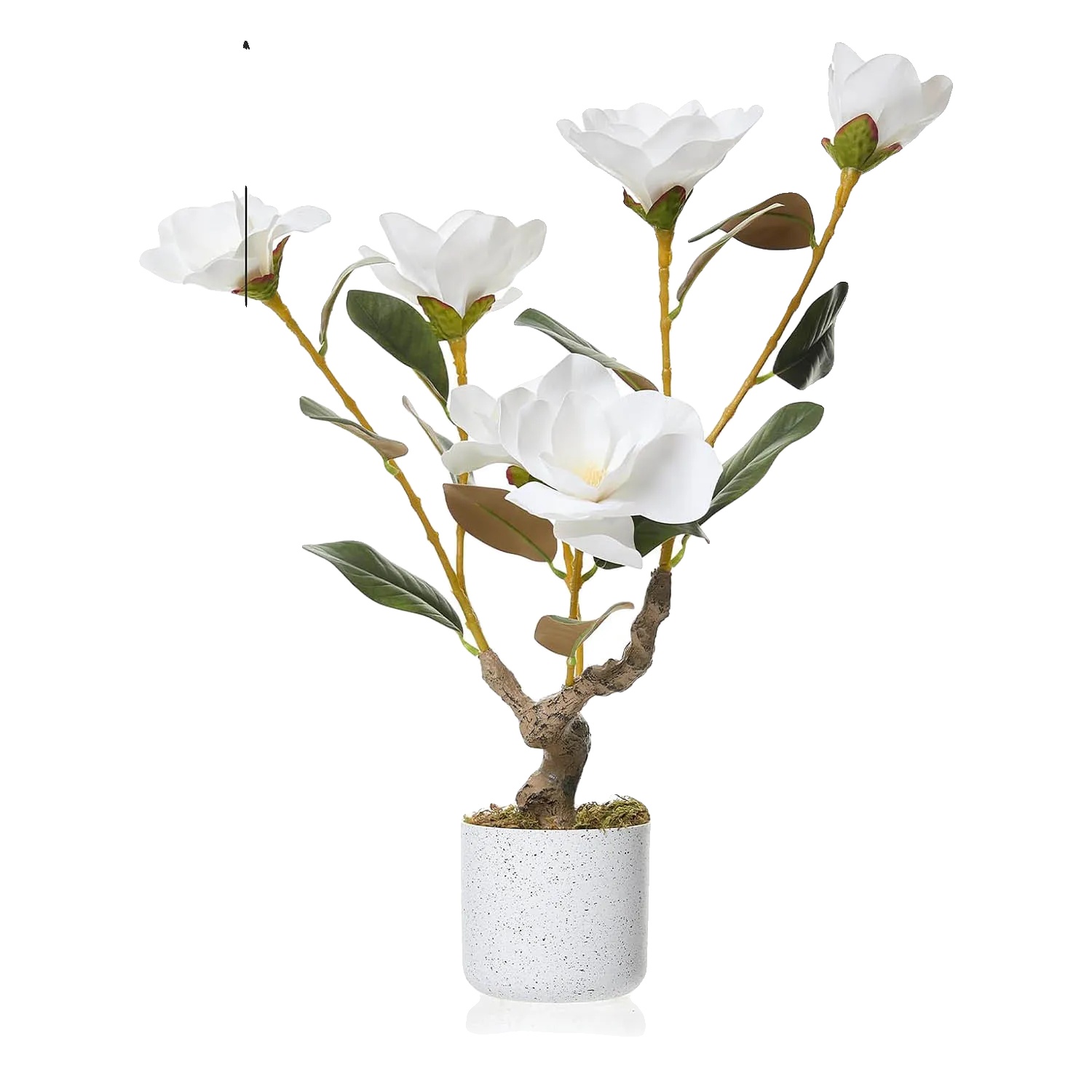 Künstlicher Magnolienbaum, Realistische Blüten, Pflegeleichtes Design, Weiß, 180cm
