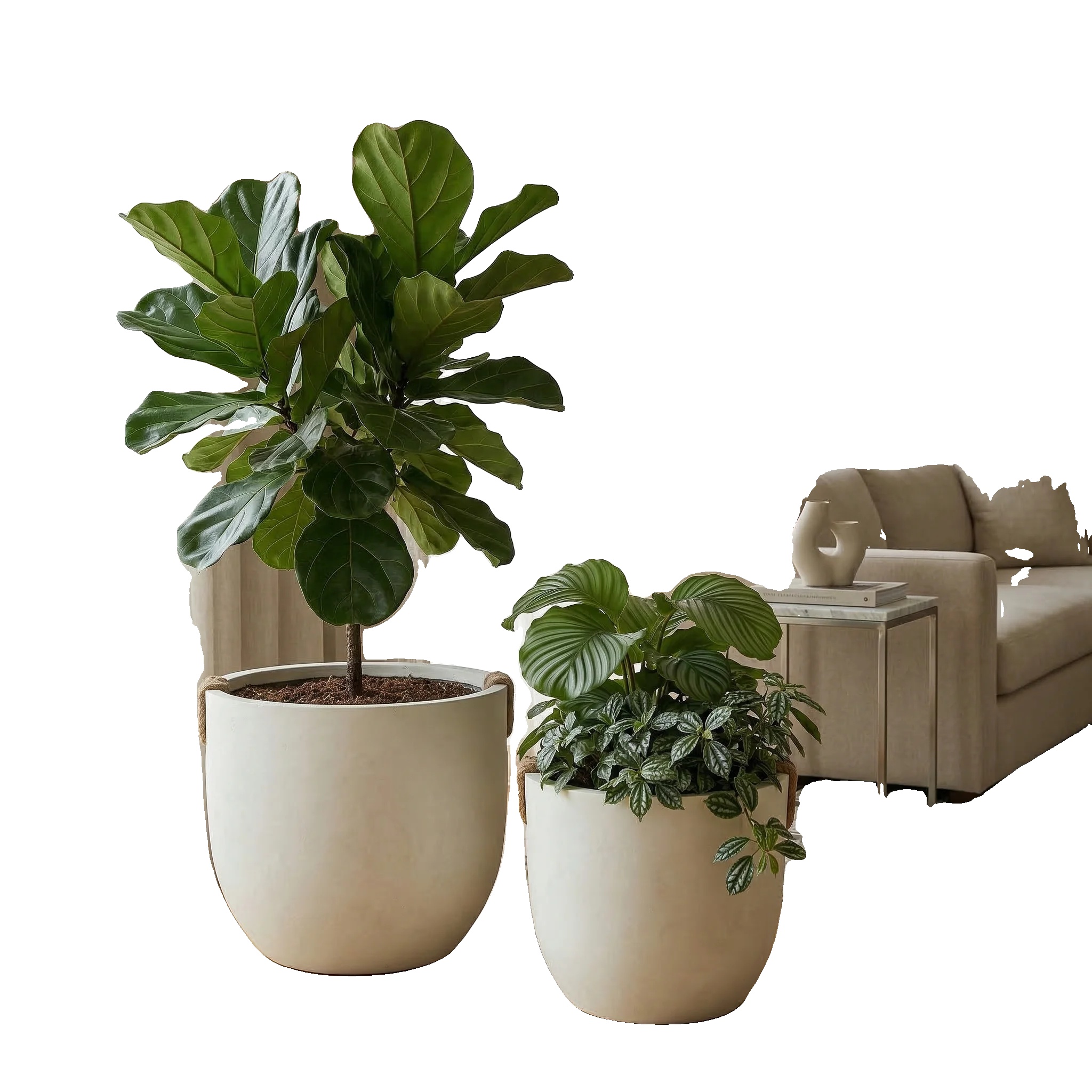 Bonsai-blumentopf, Großes Fassungsvermögen, Modernes Minimalistisches Design, Weiss