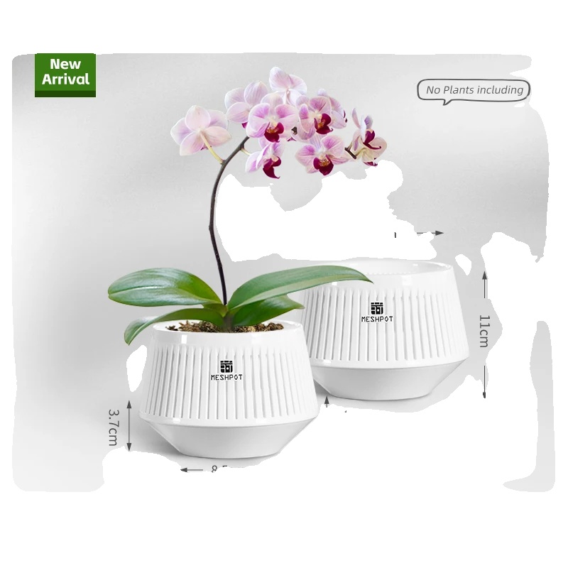 Orchideen-topf, Luftschnitt-design, Moderne Ästhetik, Weiß-2 Stk. 12cm