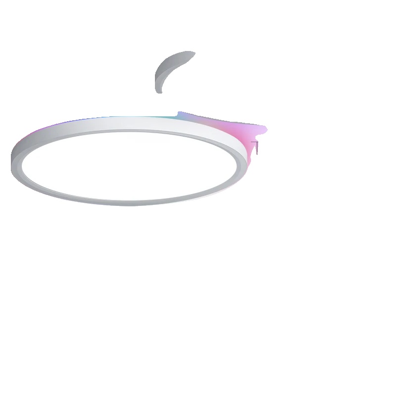 Deckenleuchte, Smarte Steuerung, Dimmbares Rgb-licht, 40cm-2 Stück, Wechselbar-a