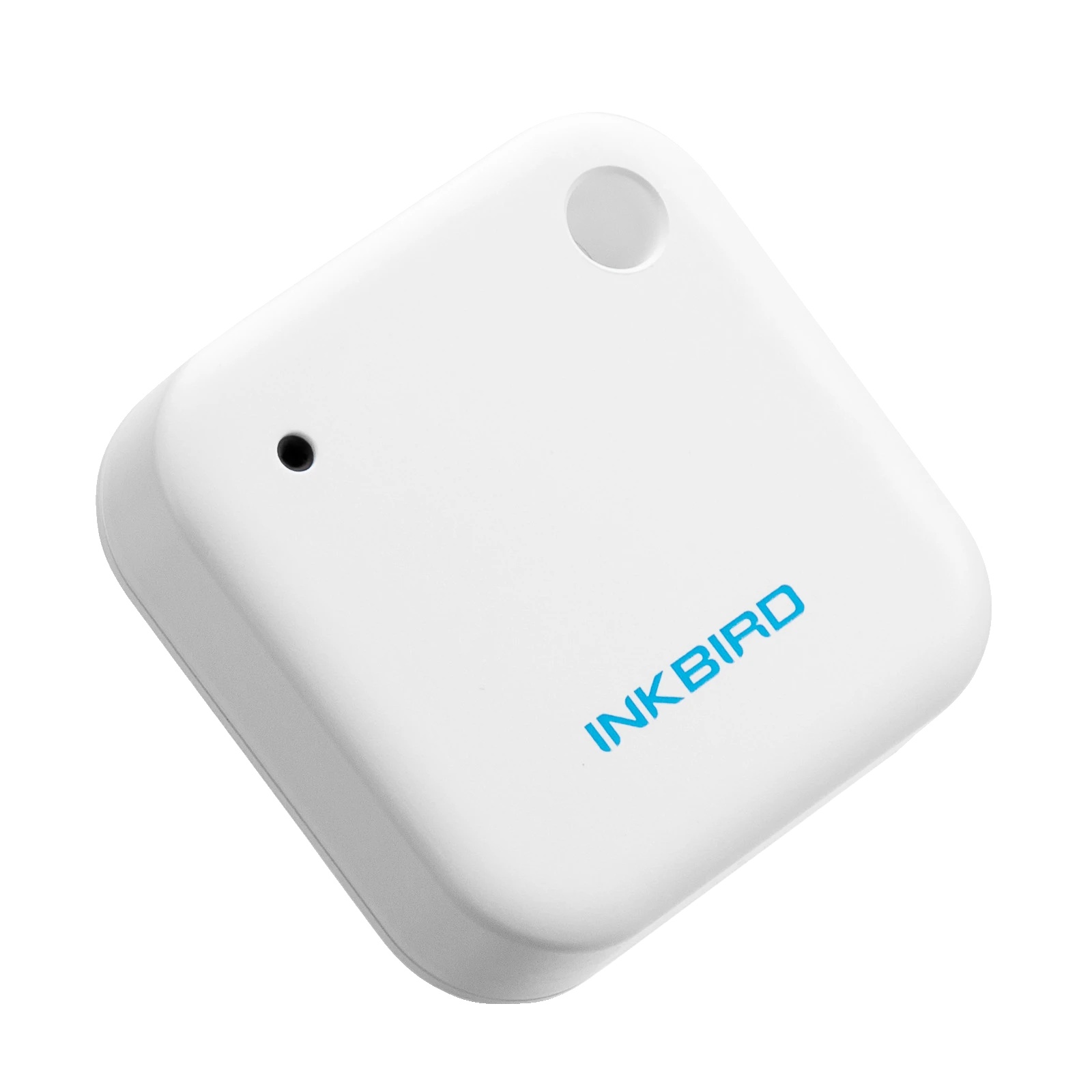 Temperaturmesser, Bluetooth-konnektivität, Wasserdichtes Design, Ibs-th2 Thermometer