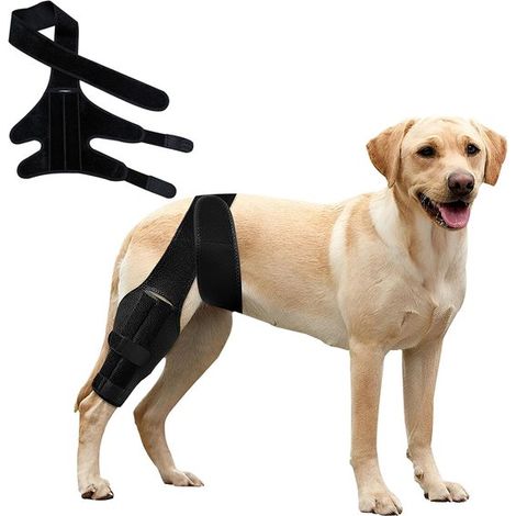 Hundeknieschoner – Schwarz – Ellbogenschutz – Gelenkschutz