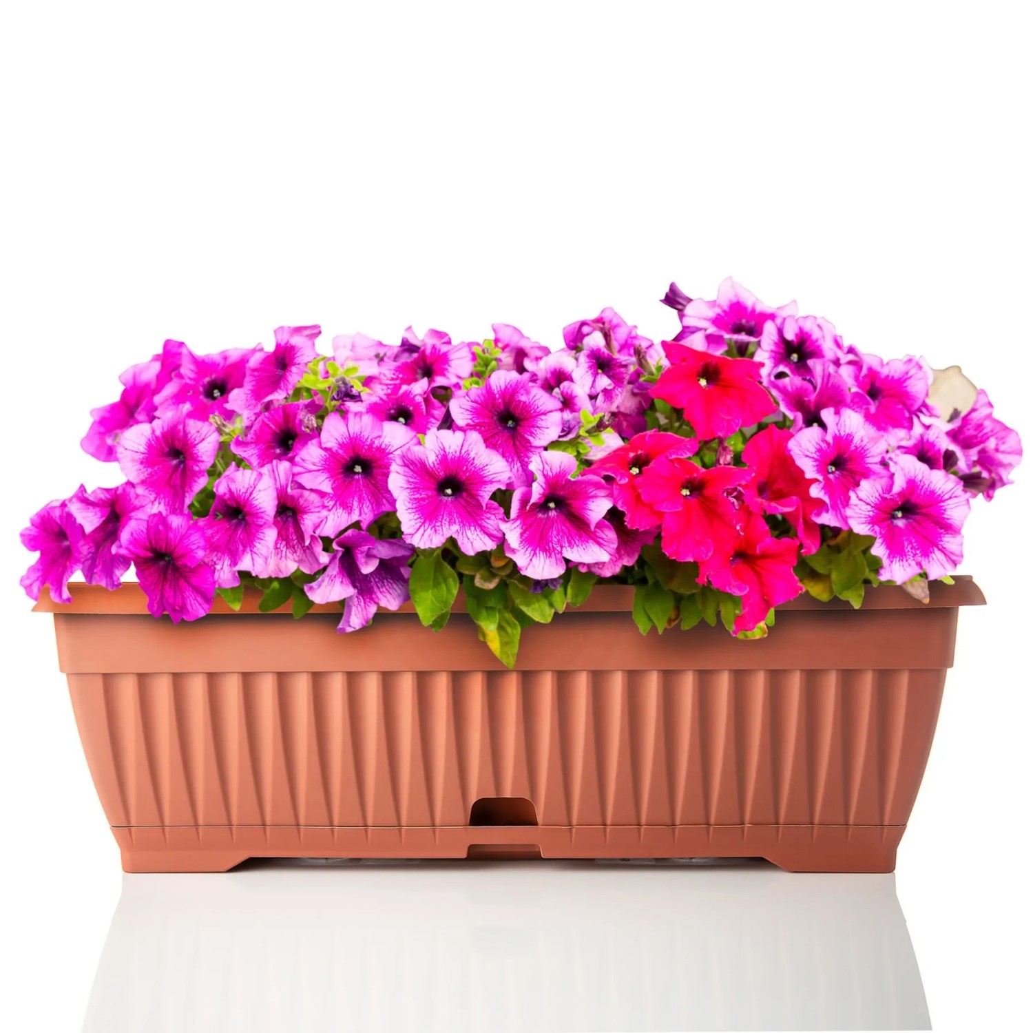 BigDean Blumenkasten Mit Abnehmbarem Untersetzer Terracotta 50 Cm Lang Aus Bruchsicherem Kunststoff Balkonkasten Pflanzkasten Mit Wasserspeicher BigDean Blumenkasten mit abnehmbarem Untersetzer - Terracotta 50 cm,ang aus bruchsicherem Kunststoff - Balkonkasten Pflanzkasten mit Wasserspeicher