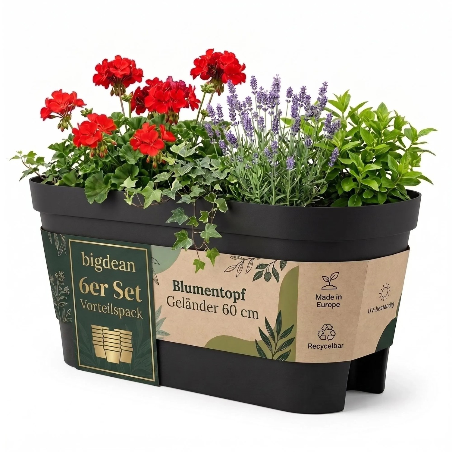 BigDean 6x Blumenkasten Balkongeländer 60cm Anthrazit Balkonkasten Inklusive Halterung Blumentopf Zum Aufhängen Wasserablauf Gegen
