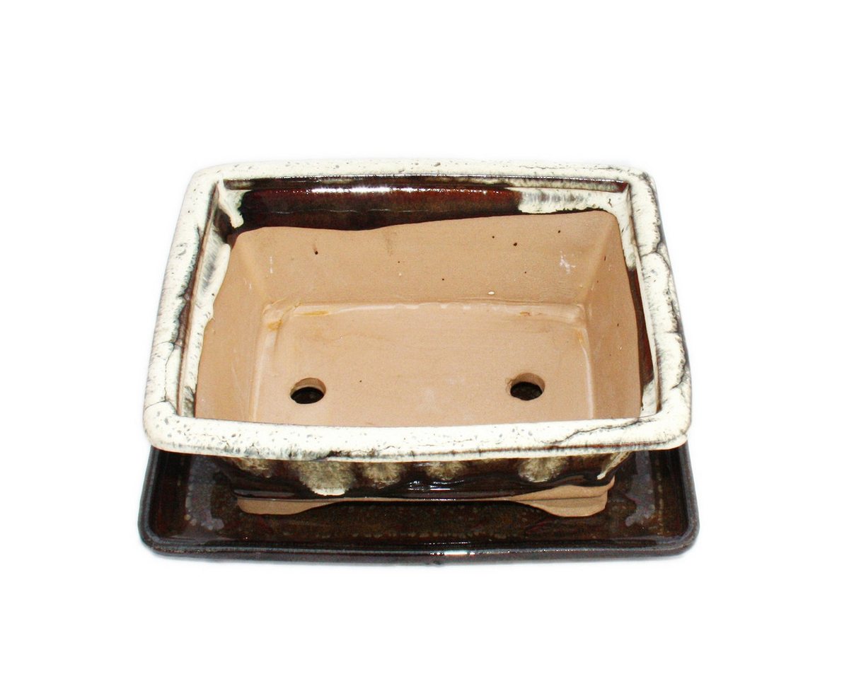 Exotenherz Pflanzschale Bonsai-Schale mit Unterteller Gr. 8 Zoll braun-beige eckig G93 L 21cm (1 St) Bild 2