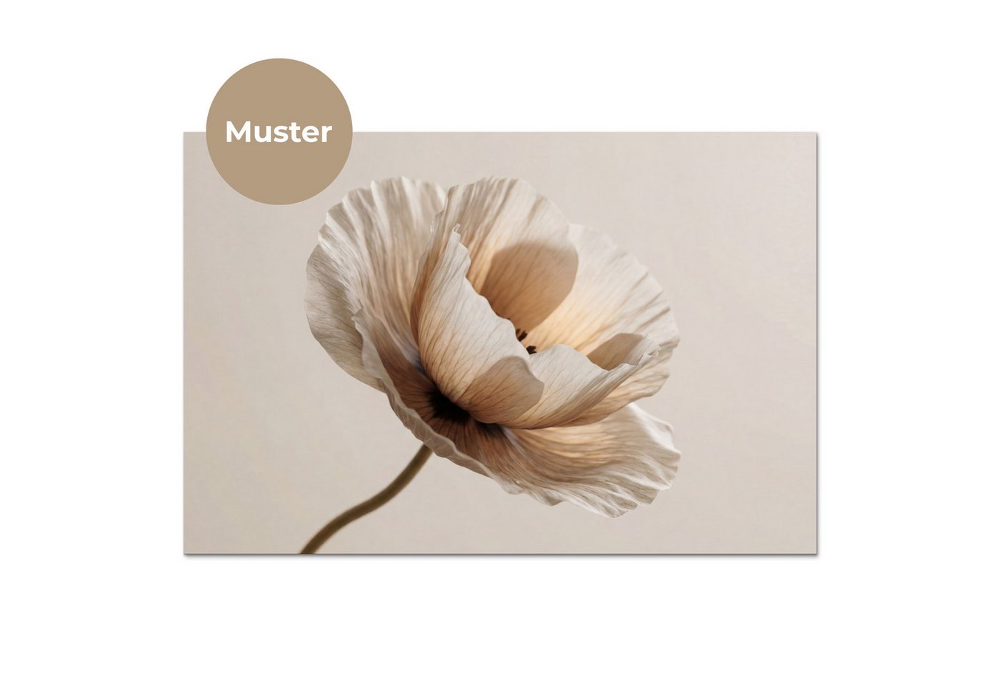 KitchenYeah Küchenrückwand Muster selbstklebend (keine Folie) Blume - Beige - Creme, (1-tlg), Spritzschutz, Küche, Rückwand, Küchenwand, Küchenfront, 30x20 cm