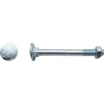 Rundkopfschraube Mit Vierkantaufnahme (trcc) Weiß Verzinkt - 16 X 180 Mm - Packung Mit 10 - Lennie - Btrcc1618002b