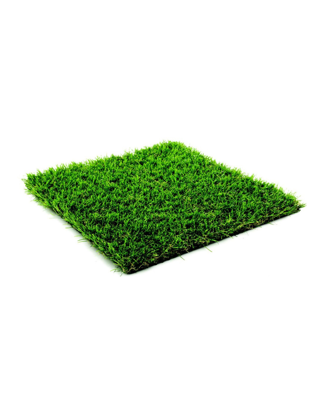 Oryzon Gras Magnolia Mit Coupon6957lizardcouponde1mx4m - Oryzon Gras
