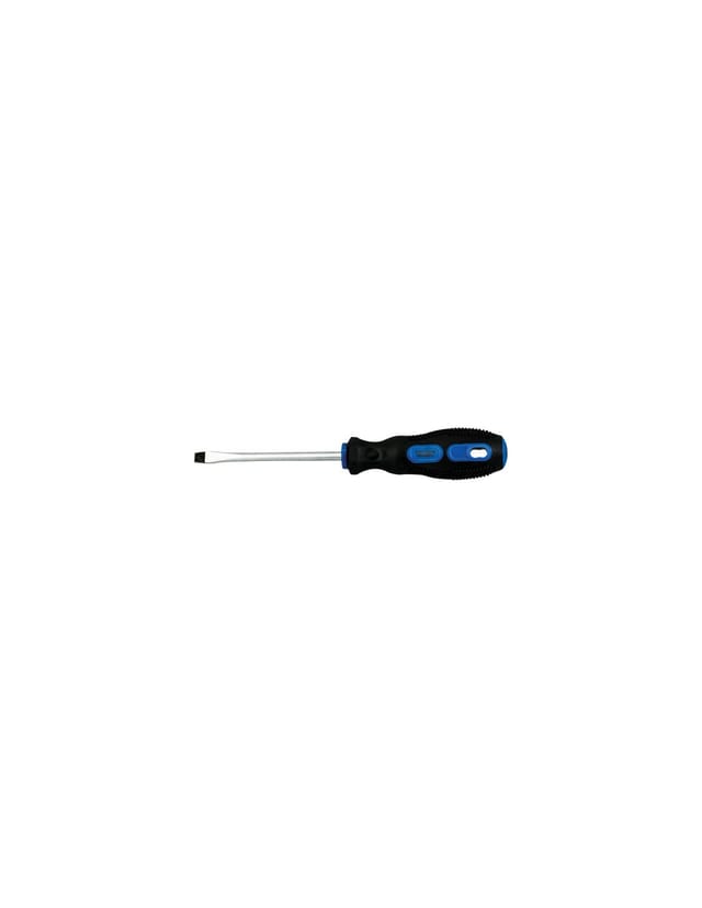 Schraubendreher Bimatière / Chromstahl Glatt Sl1.2 6 X 100 Mm - Fischer Darex