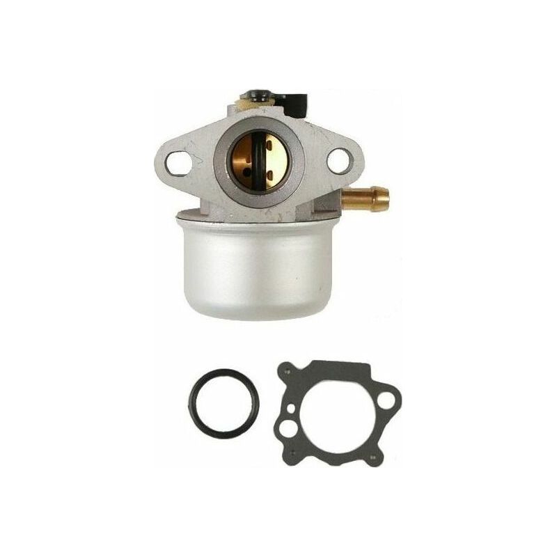 Carburateur Moteur Briggs Et Stratton - 498170