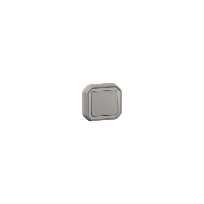 Interrupteur Ou Va-et-vient Étanche Plexo 10ax 250v Ip55 Ik08 Livré Complet Pour Fixation En Encastre - Gris
