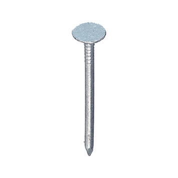 Spitze Kopf Extra Groß Verzinkt 3 X 60 - Dose 5 Kg - Connecton - Cte3060gcc5k